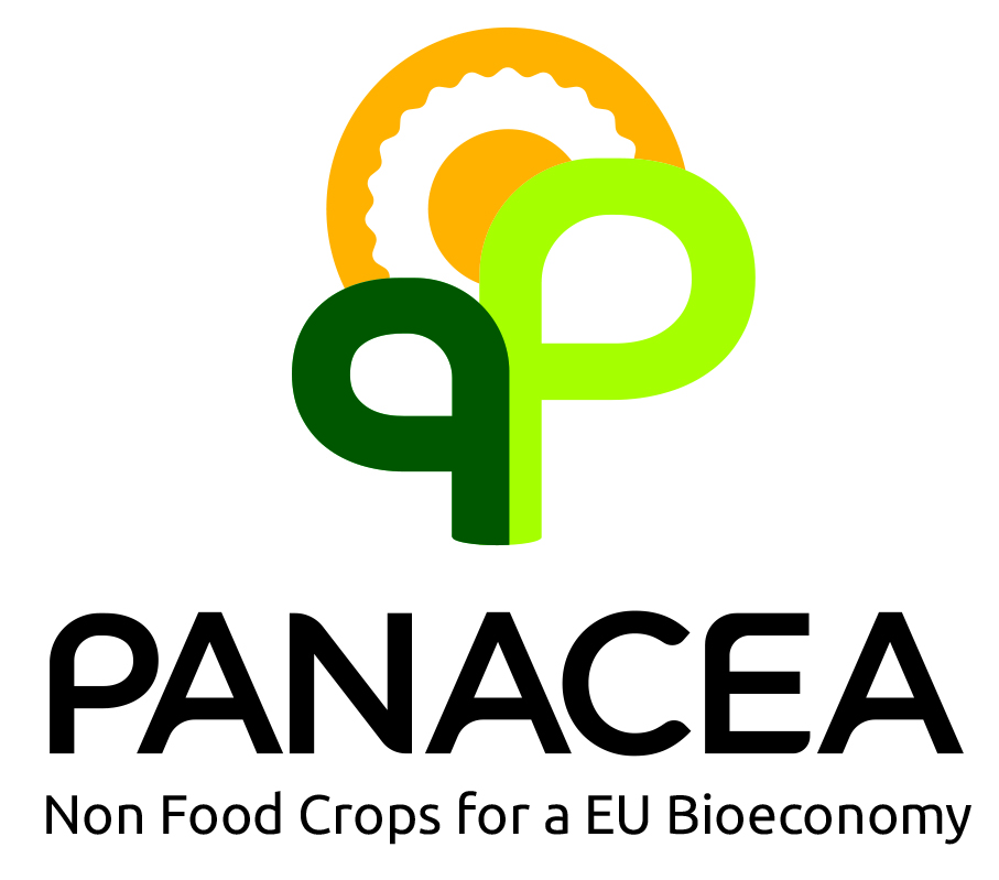Logo Panacea.vertical