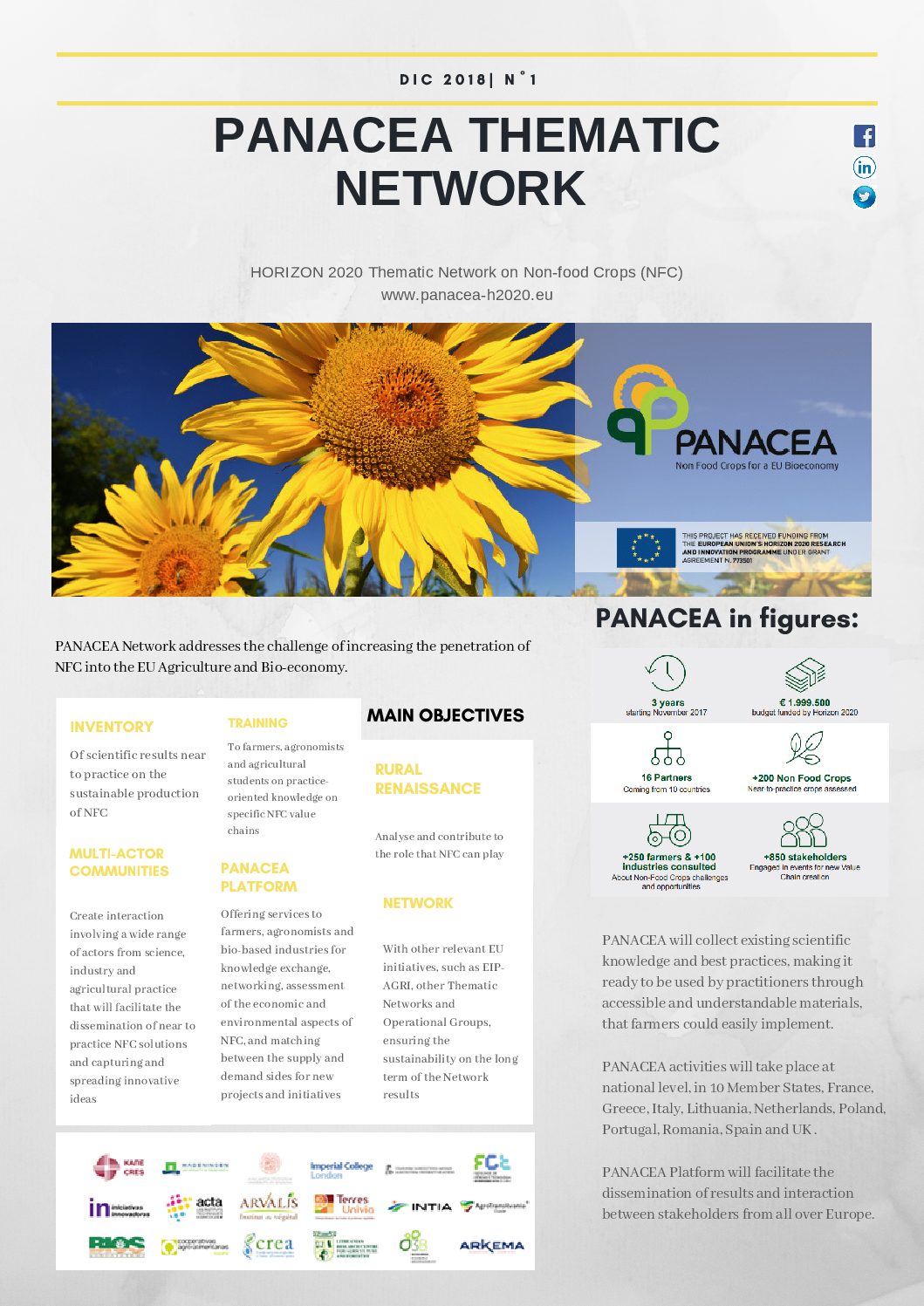 Panacea NEWSLETTER