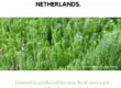 The Netherlands