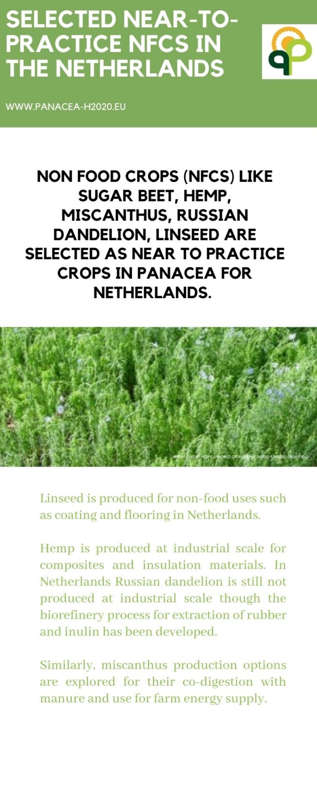 The Netherlands